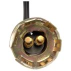 Brake Light Socket