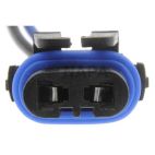 Headlight Socket