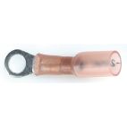 Primary Wire Terminals