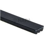 Accessory Drive Belt