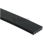 Serpentine Belt