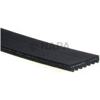 Serpentine Belt