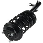 Suspension Strut Assembly