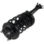Suspension Strut Assembly