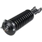 Suspension Strut Assembly
