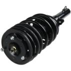 Suspension Strut Assembly