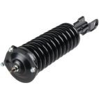 Suspension Strut Assembly