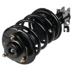 Suspension Strut Assembly