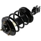 Suspension Strut Assembly