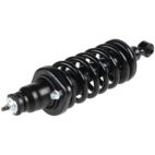 Suspension Strut Assembly