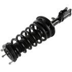 Suspension Strut Assembly
