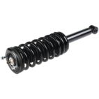 Suspension Strut Assembly