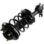 Suspension Strut Assembly