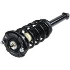 Suspension Strut Assembly