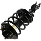 Suspension Strut Assembly