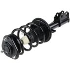 Suspension Strut Assembly
