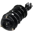 Suspension Strut Assembly