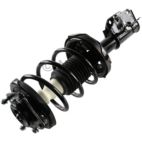 Suspension Strut Assembly