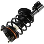 Suspension Strut Assembly