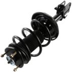 Suspension Strut Assembly