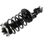 Suspension Strut Assembly