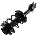 Suspension Strut Assembly