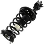 Suspension Strut Assembly