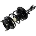 Suspension Strut Assembly