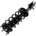 Suspension Strut Assembly