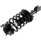 Suspension Strut Assembly