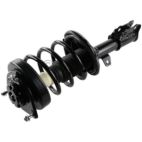Suspension Strut Assembly