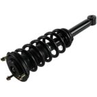 Suspension Strut Assembly