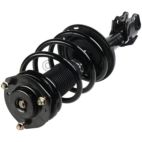 Suspension Strut Assembly