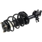 Suspension Strut Assembly