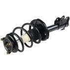 Suspension Strut Assembly