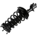 Suspension Strut Assembly