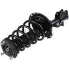 Suspension Strut Assembly