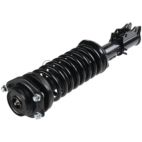 Suspension Strut Assembly