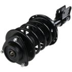 Suspension Strut Assembly
