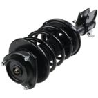 Suspension Strut Assembly