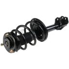 Suspension Strut Assembly