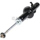 Suspension Strut