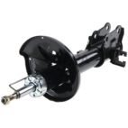 Suspension Strut