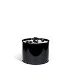 5-Gallon Tight-Head UN Rated Steel Drum with Handle