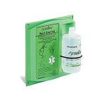 Fendall Eyesaline® Wall-Mount Eye Wash Station