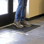 Shoe Disinfectant Mat