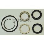 Steering Pitman Complete Kit