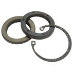 Steering Gear Pitman Shaft Seal Kit