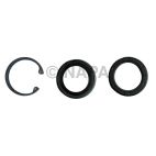 Steering Gear Pitman Shaft Seal Kit