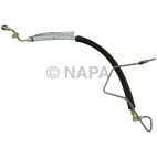 Power Steering Pressure Hose